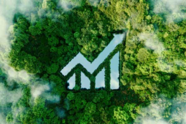 证券与股票有什么区别